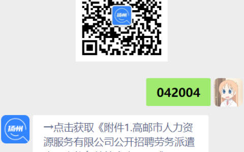 2023年扬州高邮市人力资源服务有限公司招聘劳务派遣人员简章